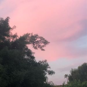 Meet your Posher, Georgia